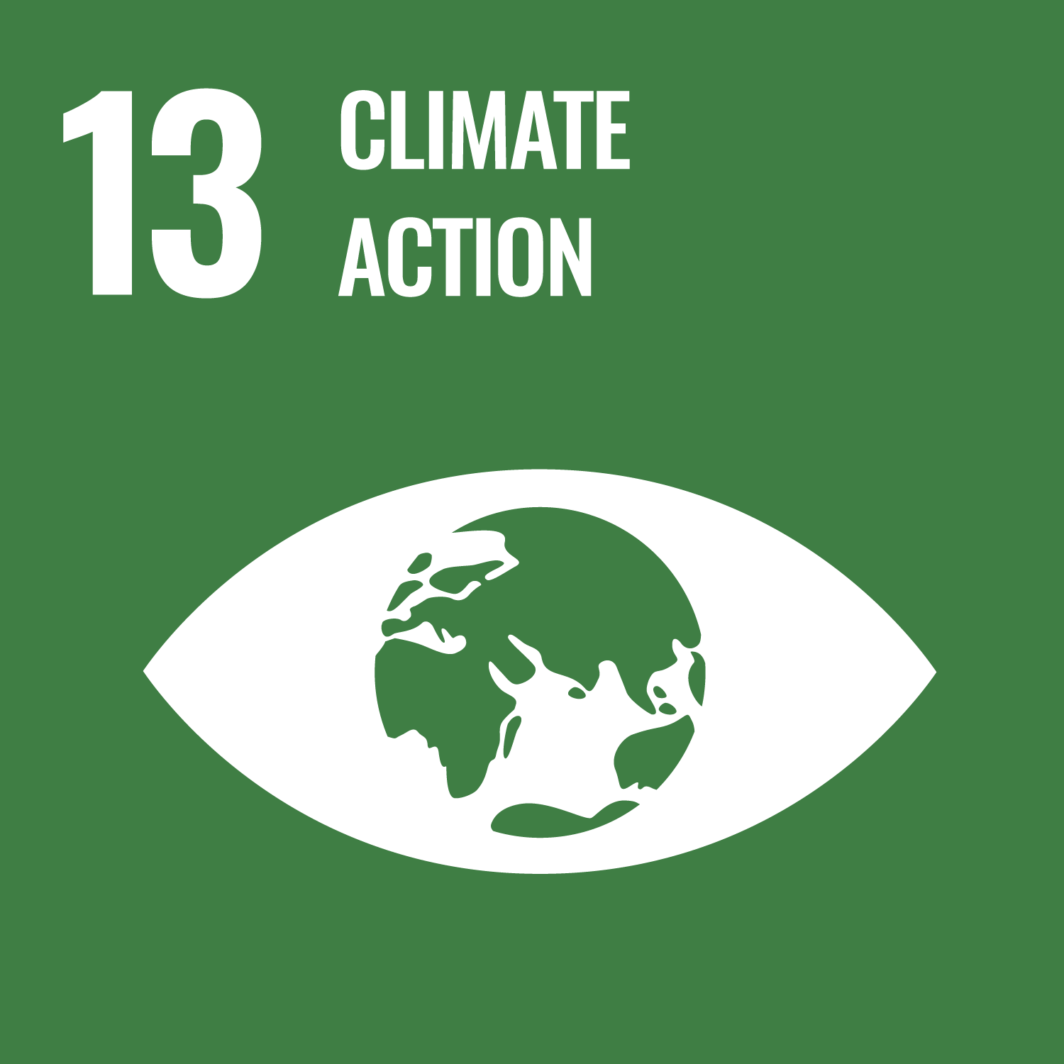 UN Global Goal 13
