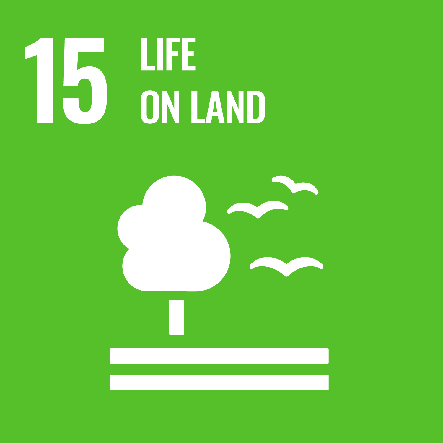 UN Global Goal 15