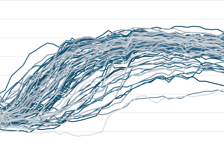 SEGES Innovation Case Study Image