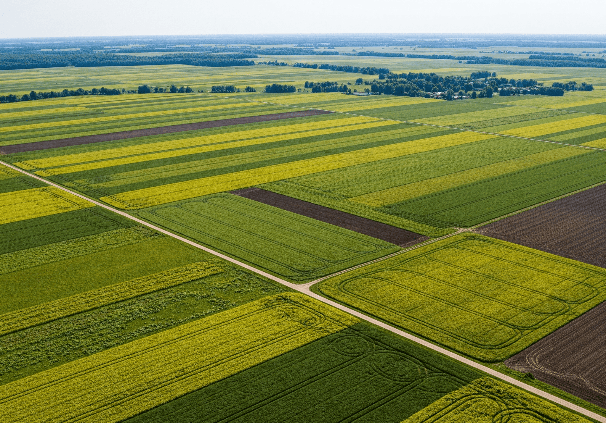 How to Monitor Crop Health with Sentinel-2 (Northern Europe Guide)