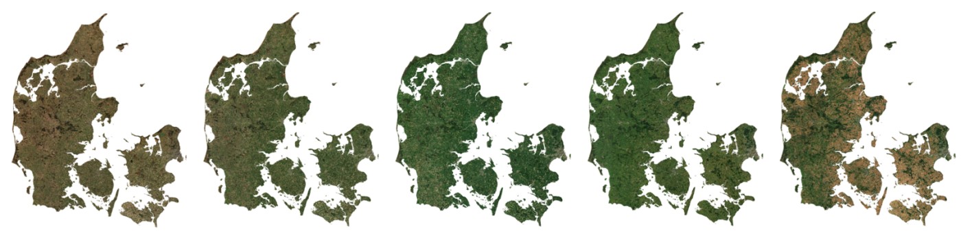 Seges Innovation platform using ClearSKY imagery